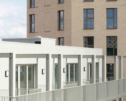 Project: LIFE 'The Bunch' - Antwerpen