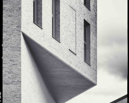 Project: LIFE 'The Bunch' - Antwerpen