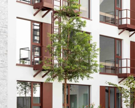 Project: LIFE 'The Bunch' - Antwerpen