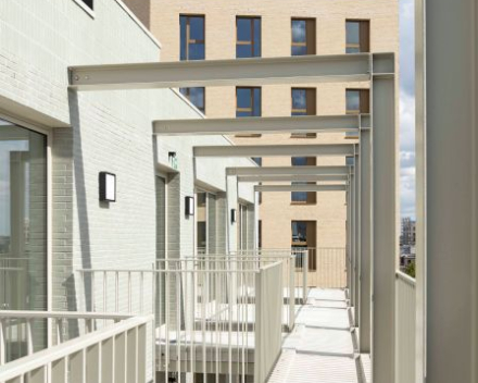 Project: LIFE 'The Bunch' - Antwerpen