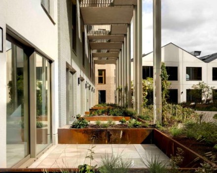 Project: LIFE 'The Bunch' - Antwerpen