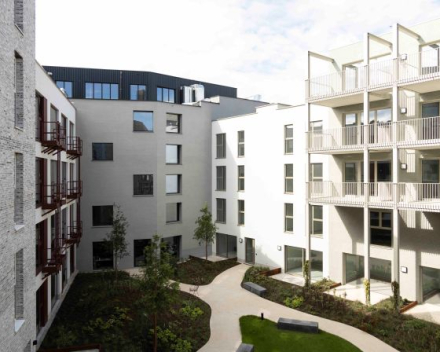 Project: LIFE 'The Bunch' - Antwerpen