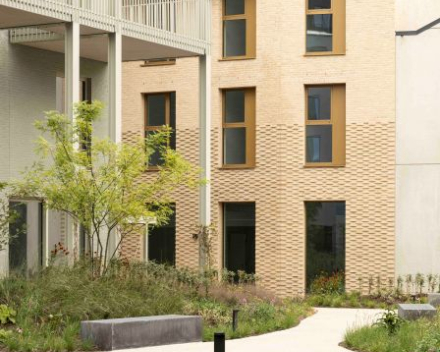 Project: LIFE 'The Bunch' - Antwerpen