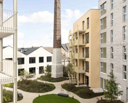 Project: LIFE 'The Bunch' - Antwerpen