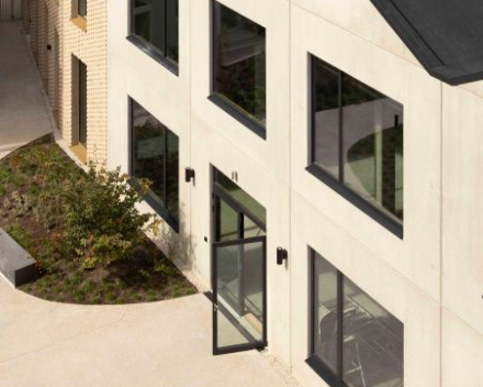 Project: LIFE 'The Bunch' - Antwerpen