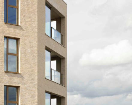 Project: LIFE 'The Bunch' - Antwerpen