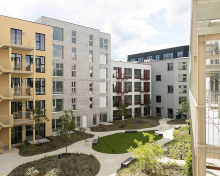 Project: LIFE 'The Bunch' - Antwerpen